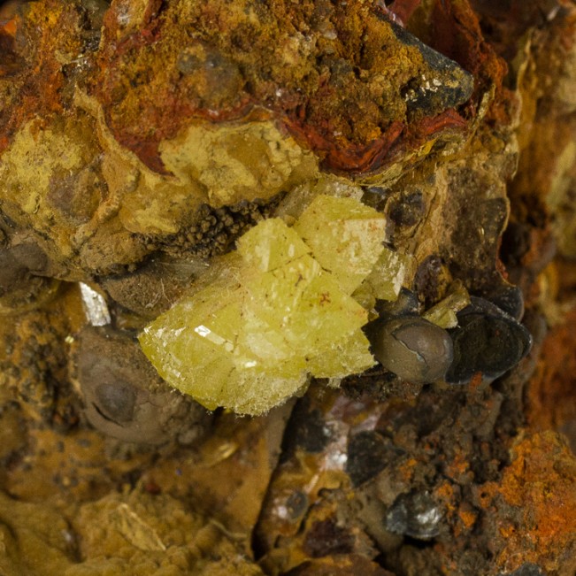 3.1" Yellow Green ADAMITE Sharp Lustrous Crystals on Limonite Mexico for sale