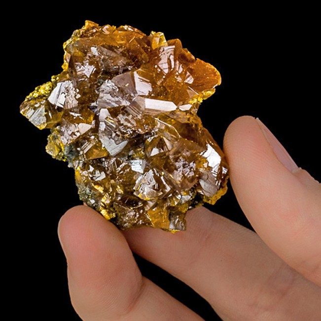 1.7" ORPIMENT Sharp Lustrous Orange Crystals to .8" Twin Creeks NV for sale