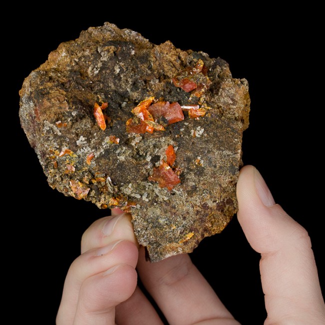 3" Matrix w/Sharp RedOrange WULFENITE Crystals to .3" Red Cloud Mine AZ for sale