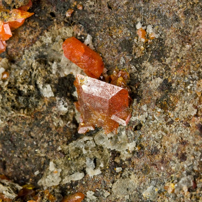 3" Matrix w/Sharp RedOrange WULFENITE Crystals to .3" Red Cloud Mine AZ for sale