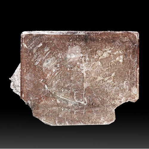 1.3"Single Crystal Silverish Brown WULFENITE-...