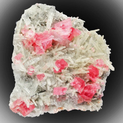 2.3" RosyRed RHODOCHROSITE 15 Crystals +Needl...