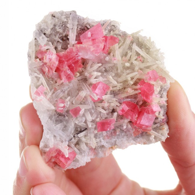 2.3" RosyRed RHODOCHROSITE 15 Crystals +NeedleQuartz Sweet Home Mine CO for sale