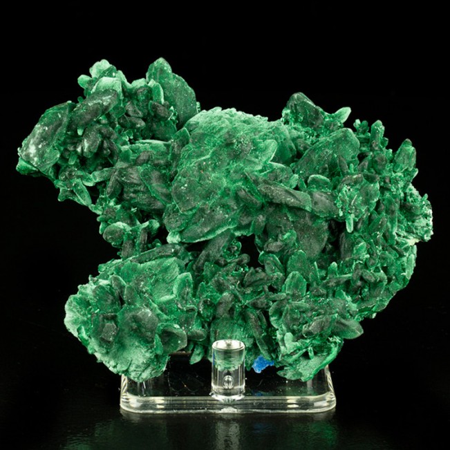 4" Dark Green MALACHITE PSEUDO AZURITE Sharp Crystals Milpillas Mexico for sale