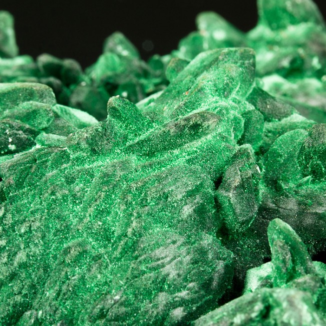 4" Dark Green MALACHITE PSEUDO AZURITE Sharp Crystals Milpillas Mexico for sale
