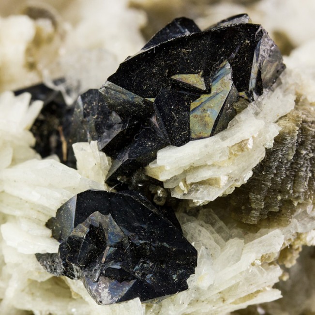 3.3" Brilliant Shiny CASSITERITE Crystals Dark Brown on Albite Brazil for sale