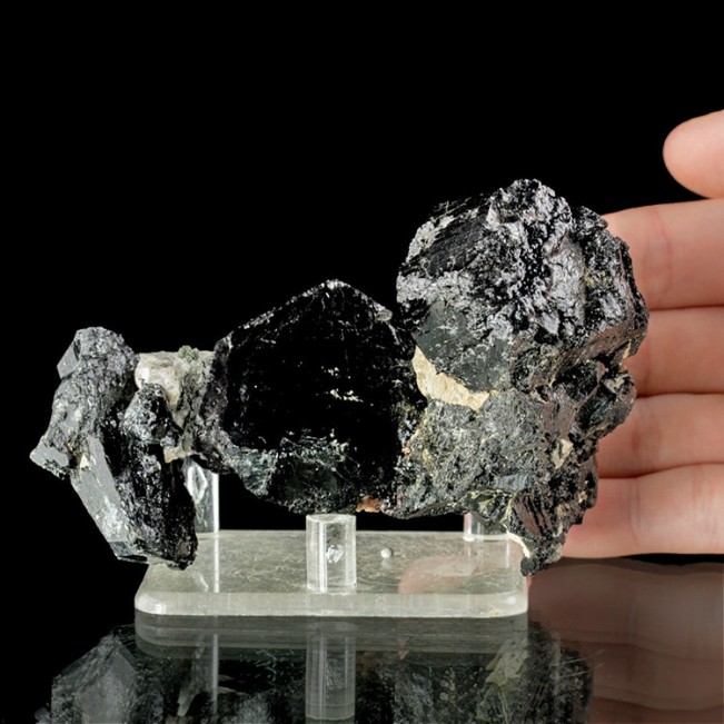 3.9" Black DRAVITE (UVITE) TOURMALINE Crystals in Sculptural Group NY for sale