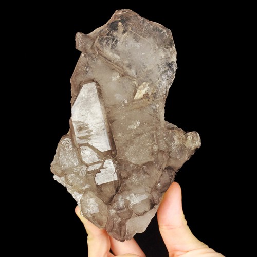 6.1" Flashy Jacare ELESTIAL SMOKY QUARTZ Para...