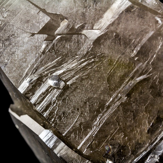 11.5" Flashing Mirror-Like Smoky ELESTIAL JACARE QUARTZ Crystal Brazil for sale