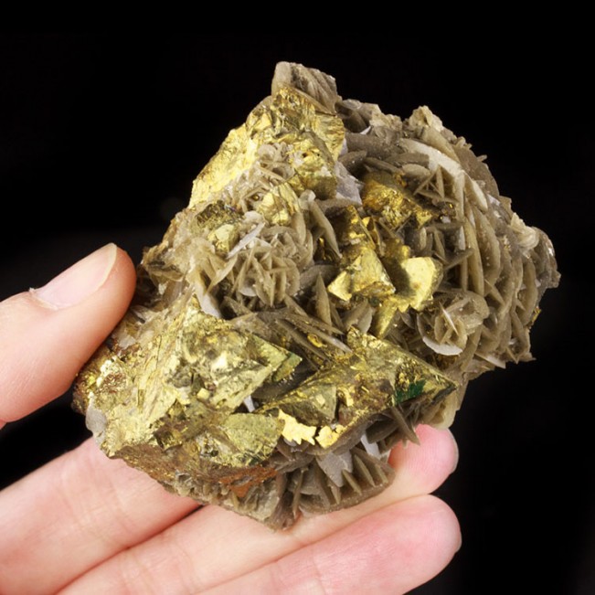 2.7" SharpMetallicGold CHALCOPYRITE on SIDERITE Crystals New 2013 China for sale