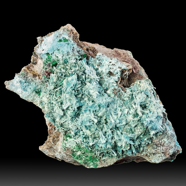 4.3" Vibrant Turquoise PLANCHEITE Radiating A...