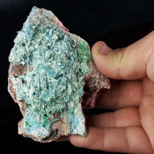 4.3" Vibrant Turquoise PLANCHEITE Radiating Acicular Crystals D.R.Congo for sale