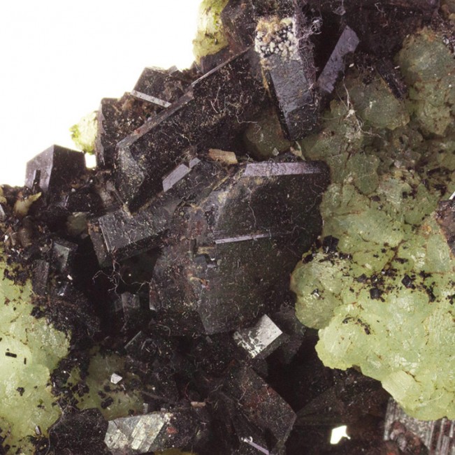 4.9" Glossy Black BABINGTONITE Crystals to .7" on Green Prehnite China for sale