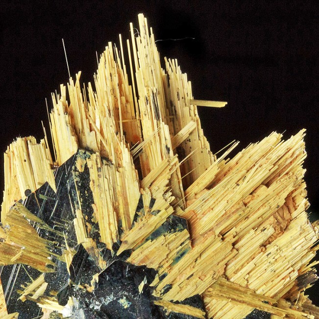 1.6"Brilliant Golden RUTILE Needle Crystals Epitaxic on HEMATITE Brazil for sale