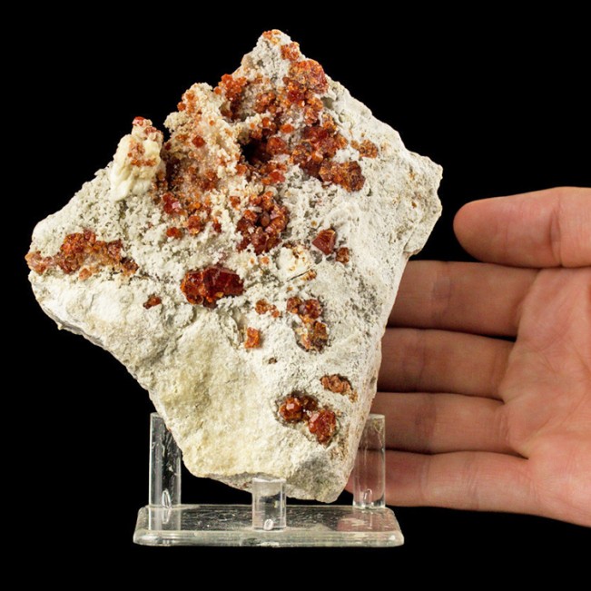 4.5" Vivid RedRaspberry GROSSULAR GARNET Sharp Lustrous Crystals Mexico for sale