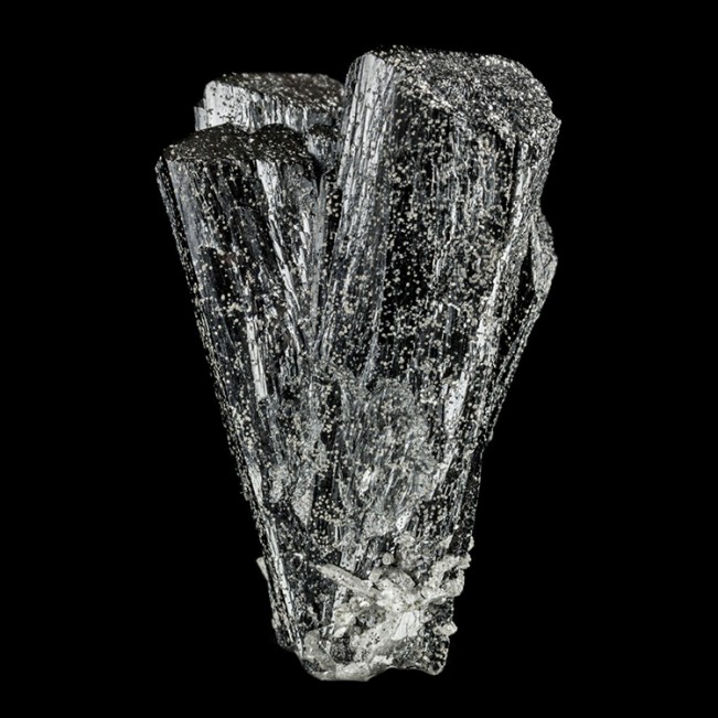 2.1" GleamingBlack ILVAITE Multi-Terminated VerySharp Crystals Mongolia for sale