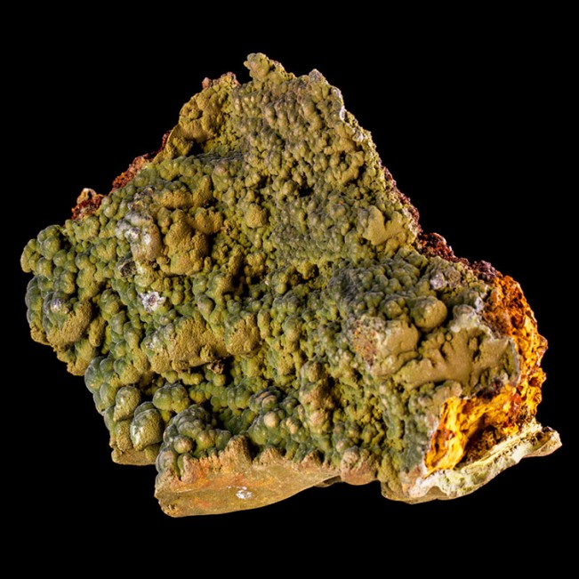 5.1" DarkGreen Bubbly Botryoidal MOTTRAMITE Crystals on Limonite Mexico for sale