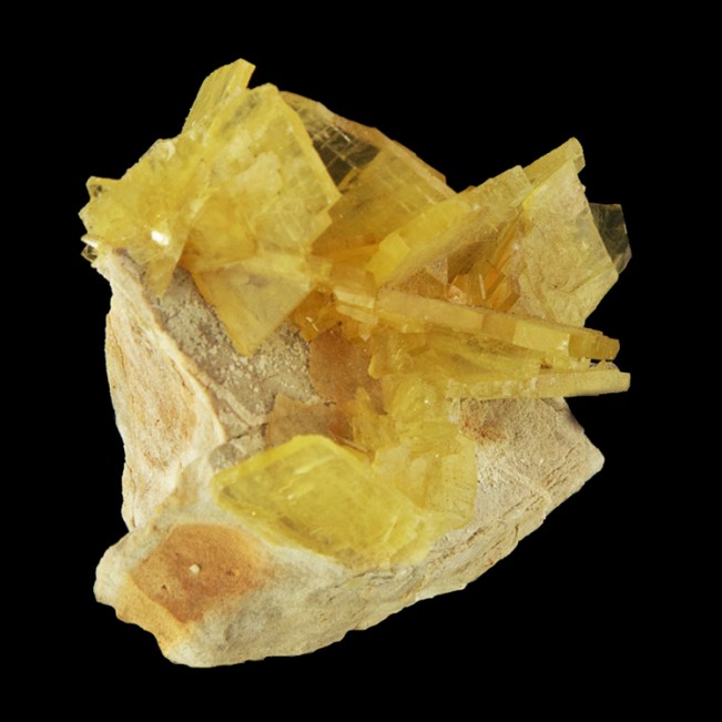 2.9" Gemmy See-Through Yellow Bladed BARITE Crystals Miraflores Peru for sale