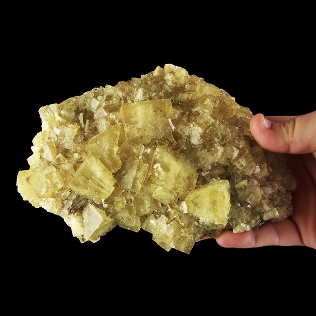 7.7" Shiny Sharp Gemmy Cubic YELLOW FLUORITE Crystals No Damage Morocco for sale