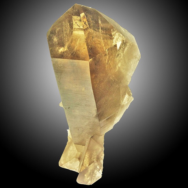 10.8" Sharp Gemmy Smoky CITRINE QUARTZ Large Terminated Crystal Brazil for sale