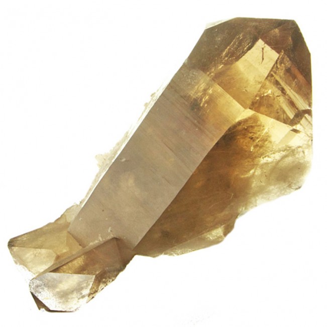 10.8" Sharp Gemmy Smoky CITRINE QUARTZ Large Terminated Crystal Brazil for sale