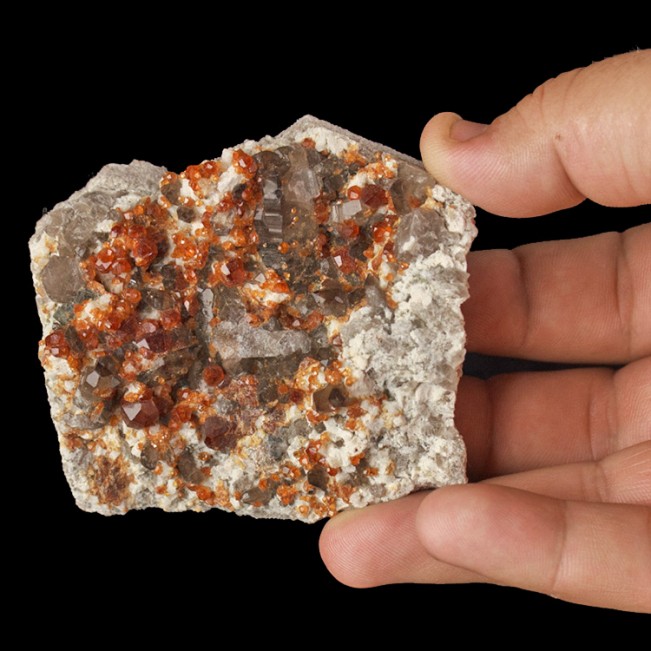 3.2" DarkOrange SPESSARTINE GARNETS w Sharp SMOKY QUARTZ Crystals China for sale