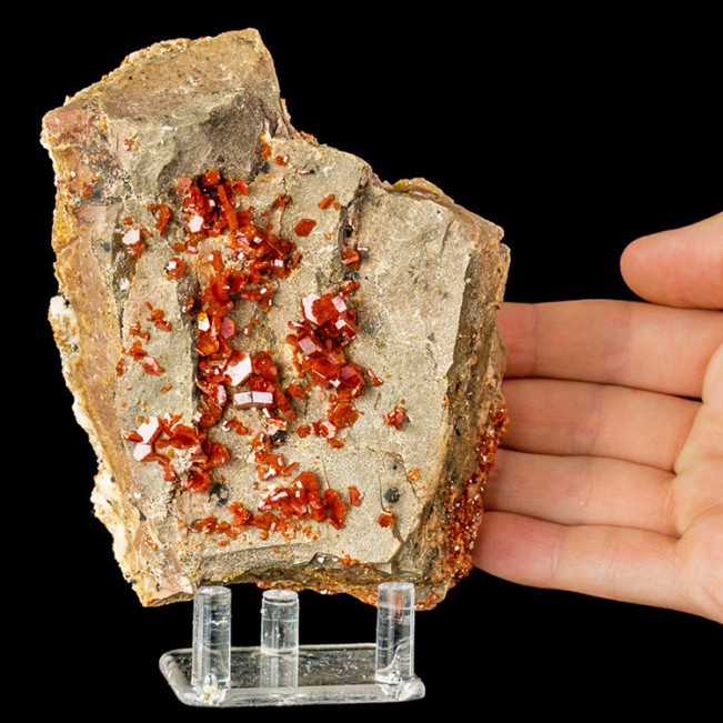 5.4" BrilliantRed VANADANITE Sparkling Sharp Crystals on Matrix Morocco for sale