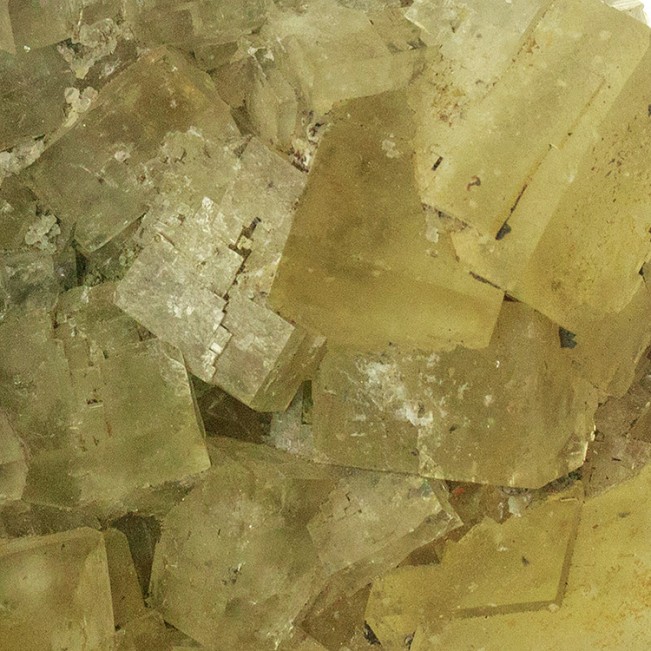 5.5" Sharp Cubic Yellow FLUORITE Gemmy Crystals w/Gray Phantoms Morocco for sale