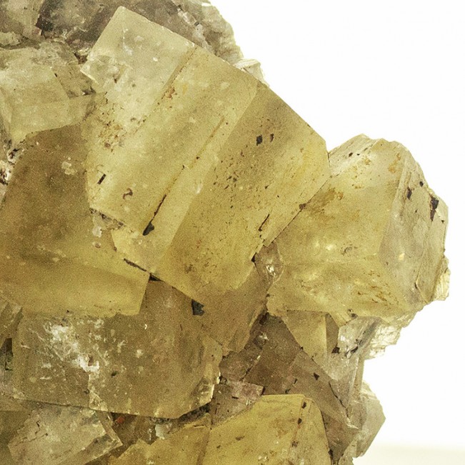 5.5" Sharp Cubic Yellow FLUORITE Gemmy Crystals w/Gray Phantoms Morocco for sale
