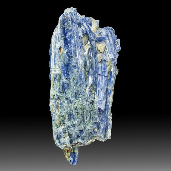 9.9" Rich Sapphire Blue KYANITE Crystals Embedded in Milky Quartz Brazil for sale