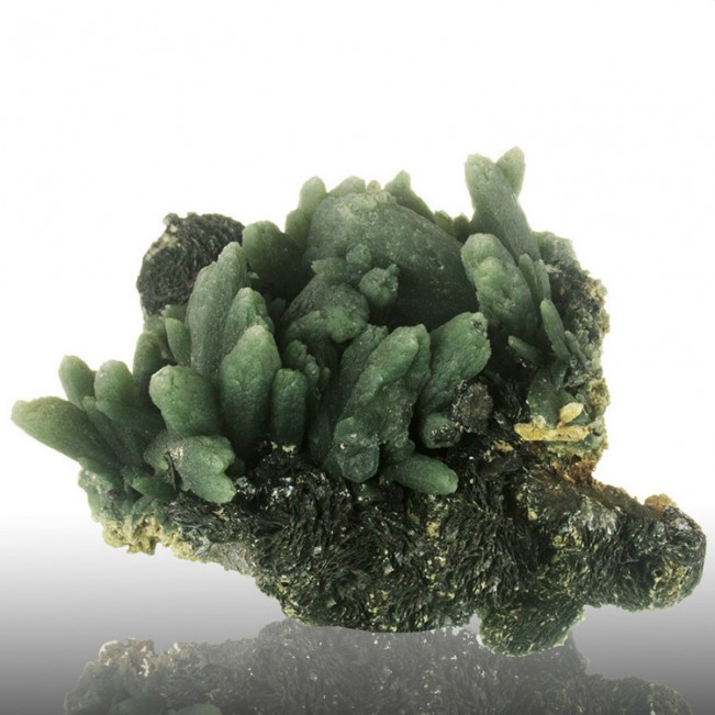 3.2" Multi-Crystal Asparagus Green PRASE QUAR...