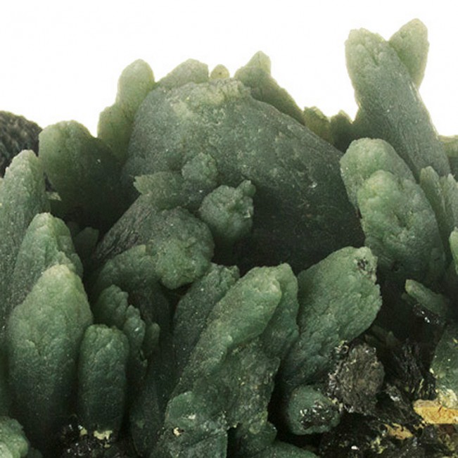 3.2" Multi-Crystal Asparagus Green PRASE QUARTZ Serifos Island Greece for sale