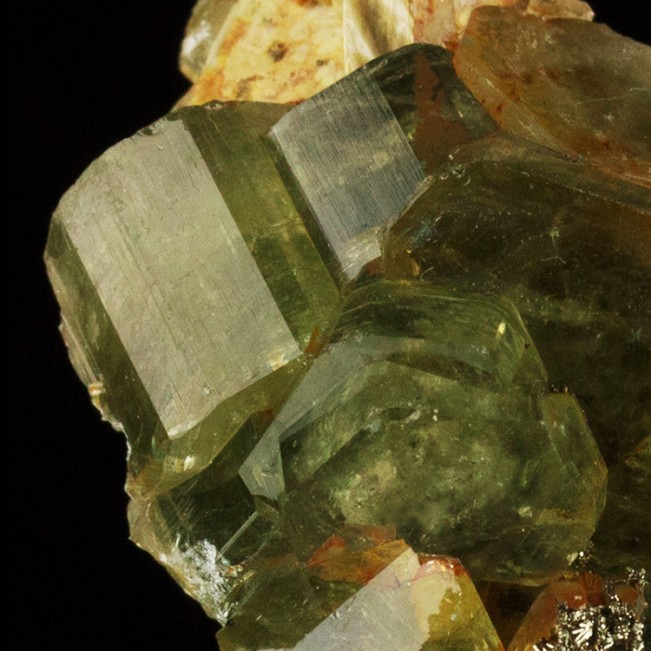 2.1" Group Gemmy BlueGreen FLUOR-APATITE Crystals Panasquiera, Portugal for sale