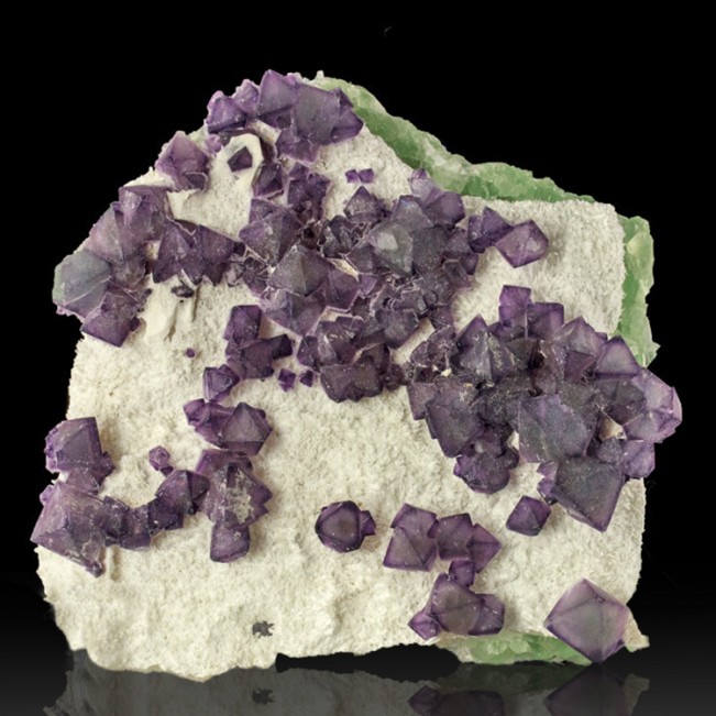 4.4" Sharp Purple-Green Octahedrons of FLUORITE on Milky Quartz China for sale