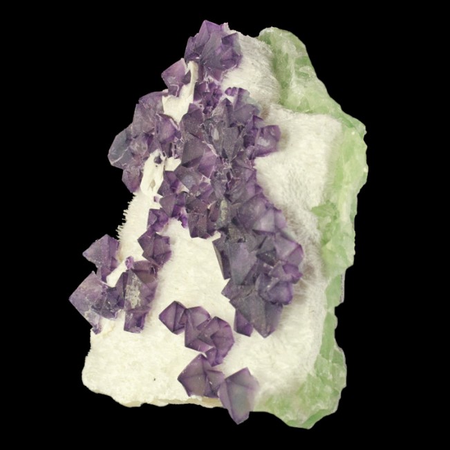 4.4" Sharp Purple-Green Octahedrons of FLUORITE on Milky Quartz China for sale