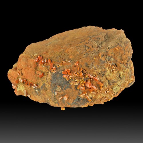 4.8" Red Orange MIMETITE Sharp, Lustrous Crys...