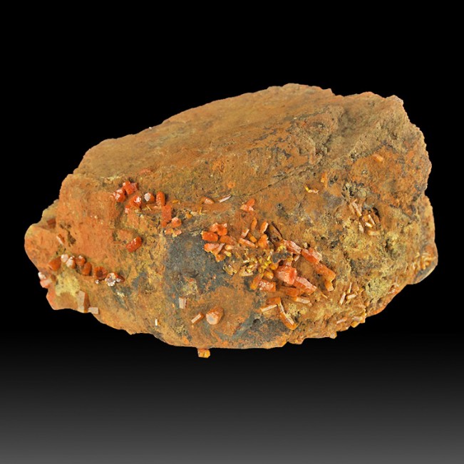 4.8" Red Orange MIMETITE Sharp, Lustrous Crystals on Matrix China for sale