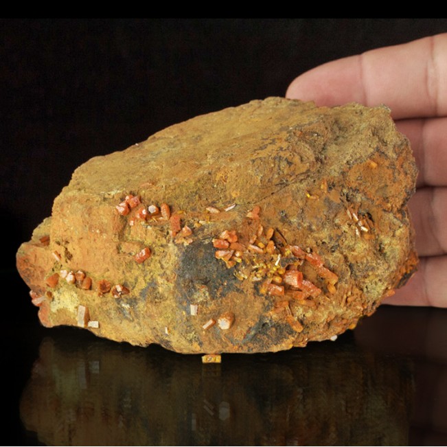 4.8" Red Orange MIMETITE Sharp, Lustrous Crystals on Matrix China for sale