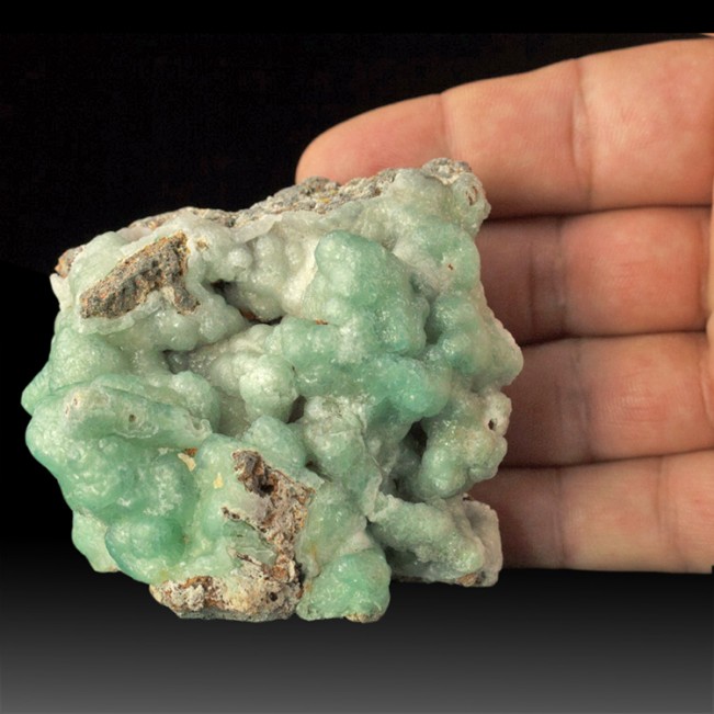 2.8" Bubbly Blue BOTRYOIDAL Smithsonite El Refugio Mine Closed Mexico for sale