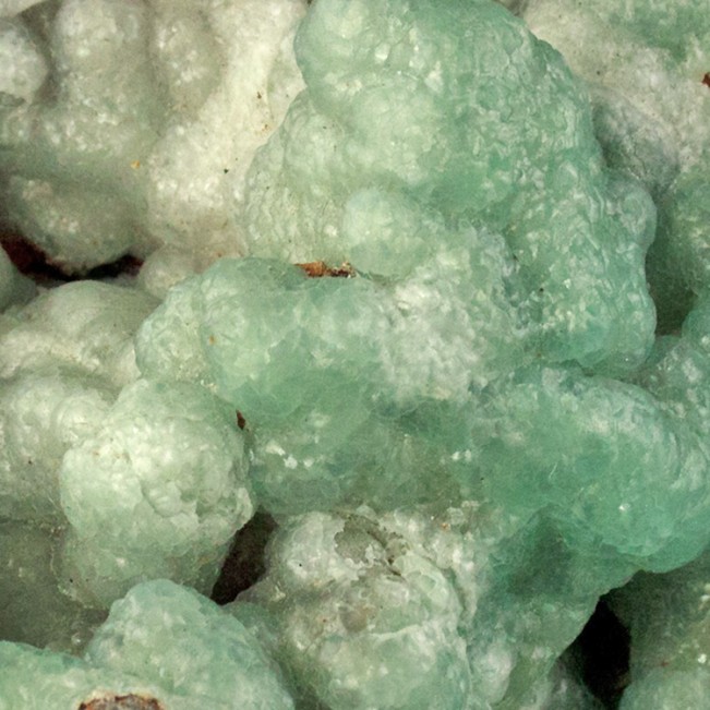 2.8" Bubbly Blue BOTRYOIDAL Smithsonite El Refugio Mine Closed Mexico for sale