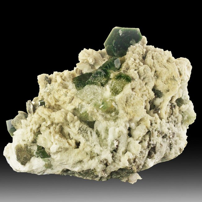 5.5" Museum DarkGreen APATITE Crystals on Cle...