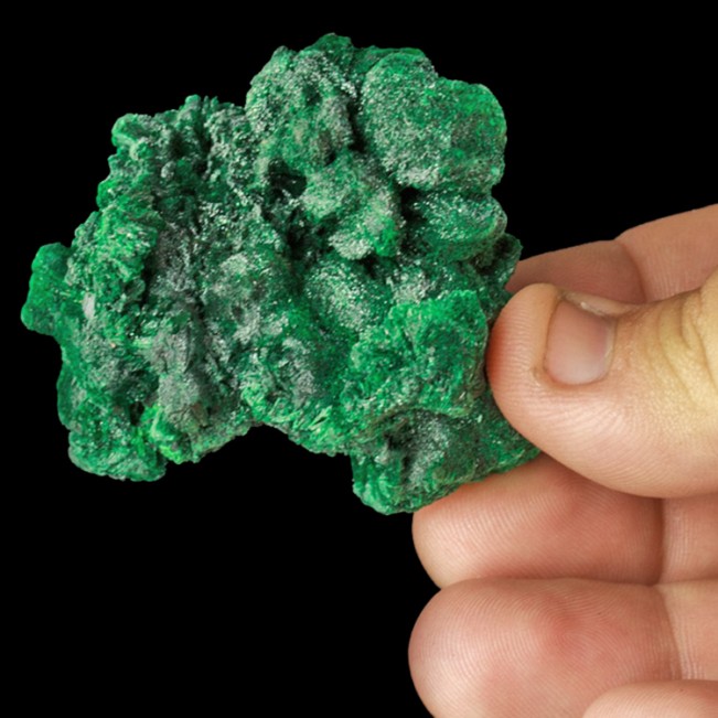 2.3" Dark Green Silky Radiating FIBROUS MALACHITE Crystals Congo for sale
