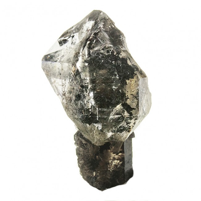 .9" Clear HERKIMER DIAMOND Sceptered on Black Stem Treasure Mountain NY for sale