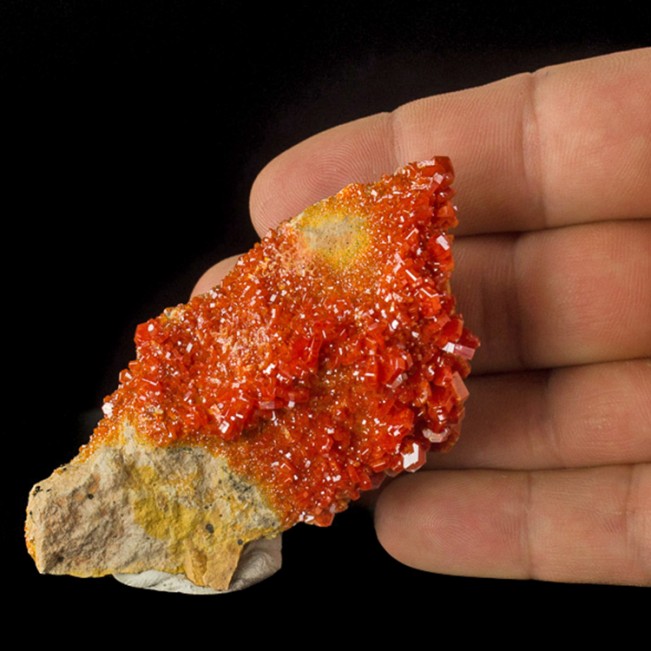 3.6" Bright Red VANADANITE WetLook Hexagonal Crystals on Matrix Morocco for sale