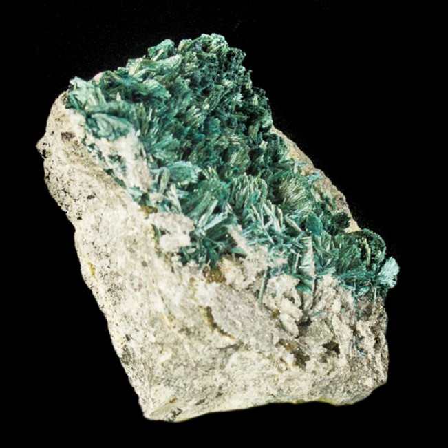 2" Dark Green GORMANITE Crystals Rare Phosphate from Yukon Type Locality for sale