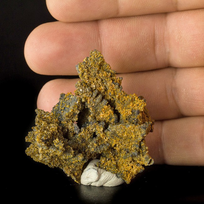 1.8" Dark Green WILLEMITE Pseudos after DESCLOIZITE w/Orange Mimetite Iran for sale  