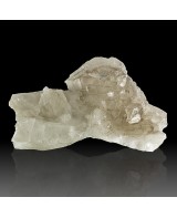 6.1" Flashy ParallelGrowth JACARE SMOKY QUART...