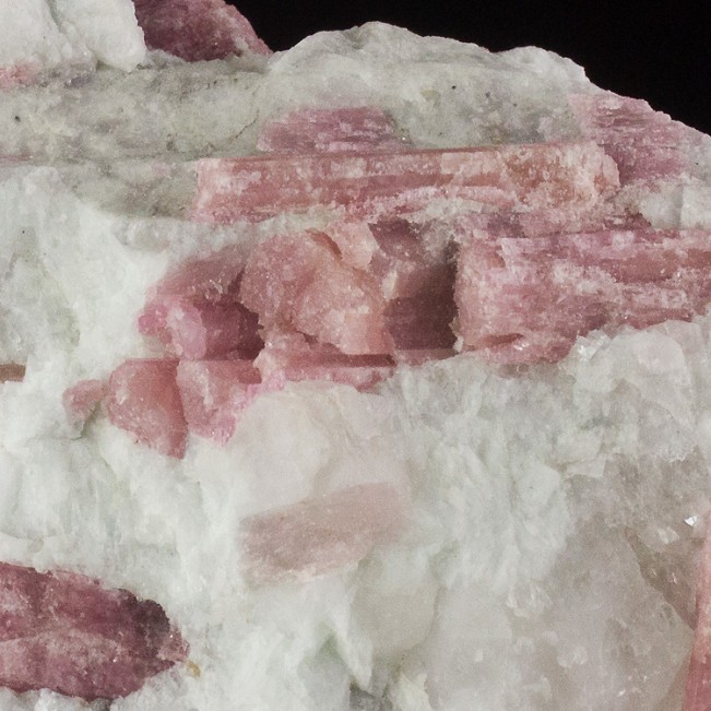 6" Gemmy Magenta PINK TOURMALINE Shiny Crystals in Milky Quartz Brazil for sale