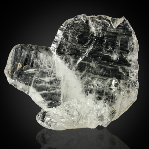 1.9" Sharp Clear JAPAN-LAW QUARTZ TWIN Termin...