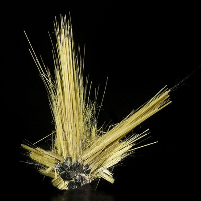 1.9" Gold RUTILE Crystal Needles to 1.5" Epitaxial on HEMATITE Brazil for sale